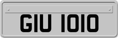 GIU1010