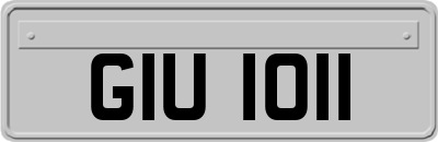 GIU1011