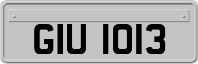 GIU1013