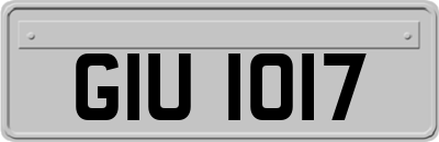 GIU1017