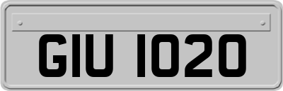 GIU1020