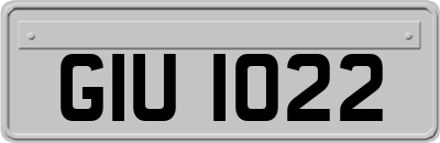GIU1022
