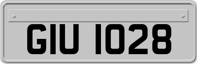 GIU1028
