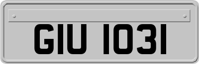 GIU1031