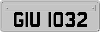 GIU1032