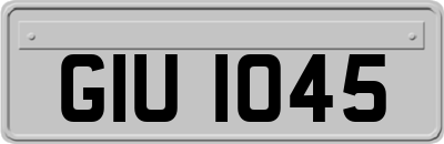 GIU1045