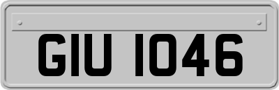 GIU1046