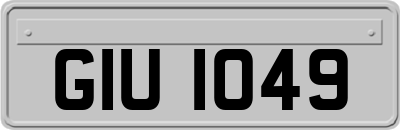 GIU1049
