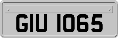 GIU1065