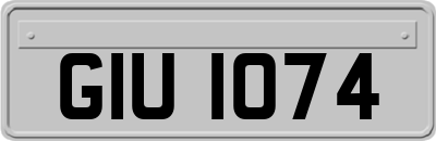 GIU1074