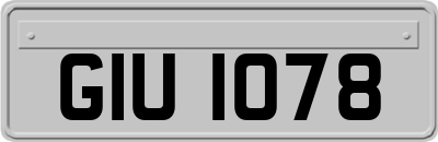 GIU1078