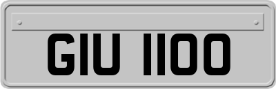 GIU1100
