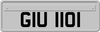 GIU1101