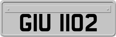 GIU1102