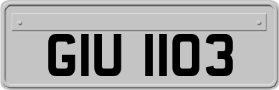 GIU1103