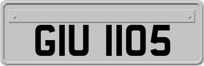 GIU1105