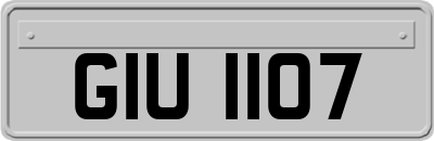 GIU1107