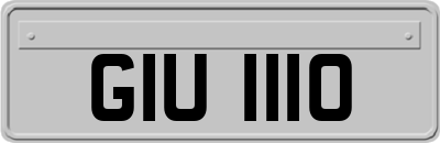 GIU1110