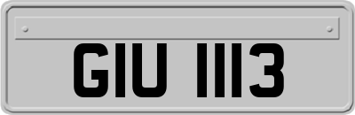 GIU1113