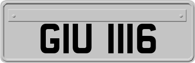 GIU1116