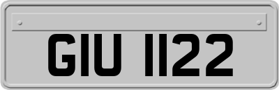 GIU1122