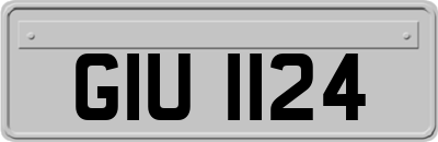 GIU1124