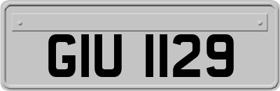 GIU1129