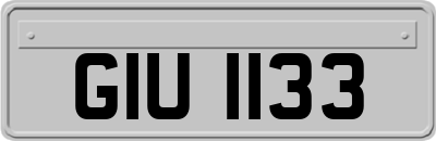 GIU1133
