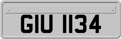 GIU1134