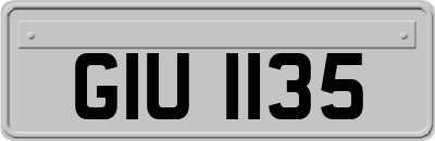 GIU1135