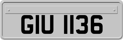 GIU1136