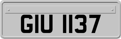 GIU1137