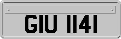 GIU1141