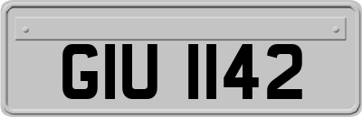 GIU1142
