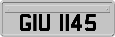 GIU1145