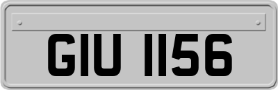 GIU1156