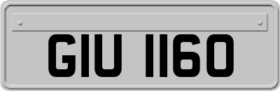 GIU1160