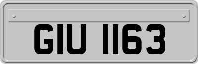 GIU1163