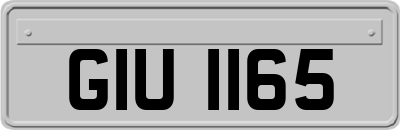 GIU1165