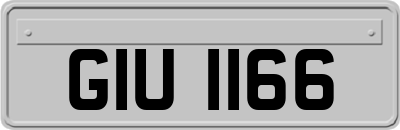 GIU1166