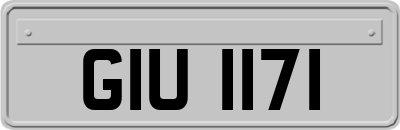 GIU1171