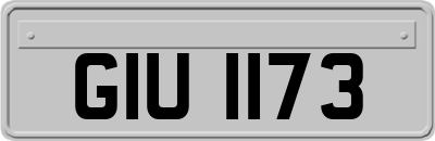 GIU1173