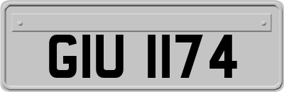 GIU1174