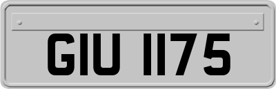 GIU1175