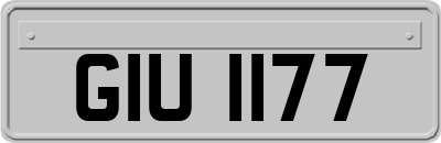 GIU1177