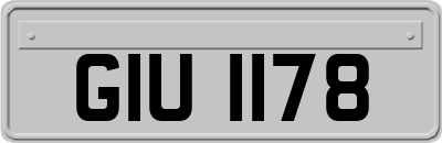 GIU1178