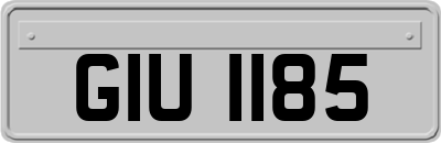 GIU1185