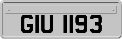 GIU1193