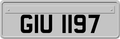 GIU1197