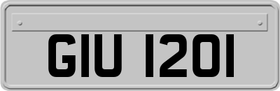GIU1201